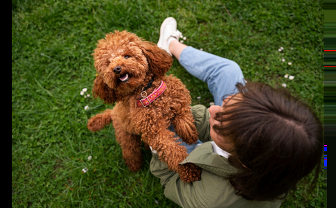 Fixation d'étagères