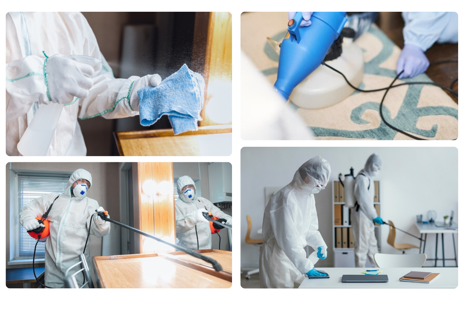 service Désinfection microbienne | Ijeni